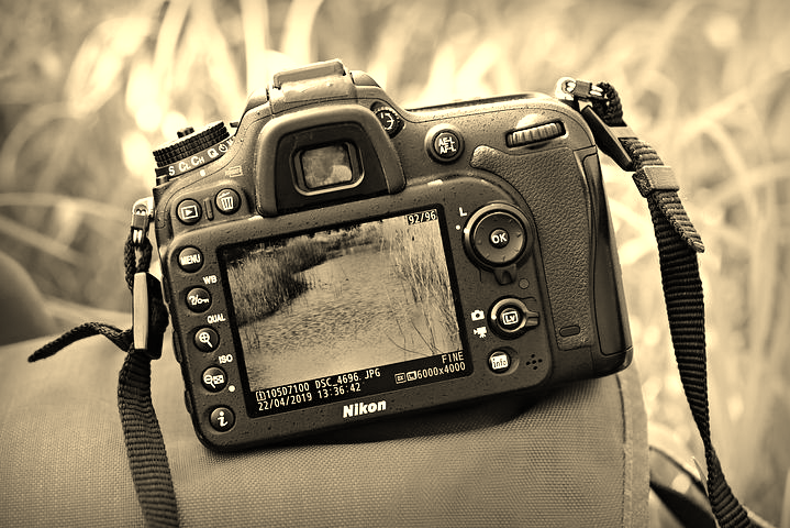 Camera - sepia