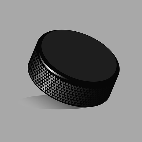 Hockey puck - grayscale