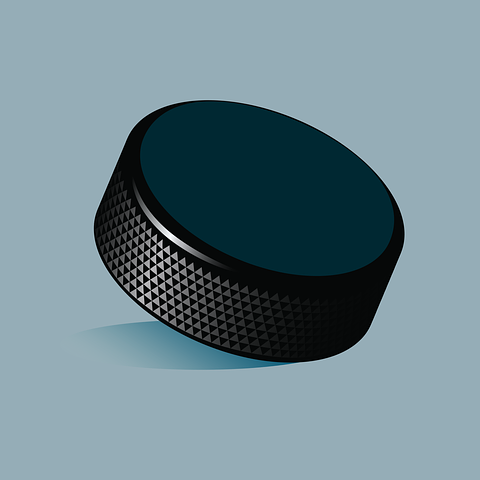 Hockey puck